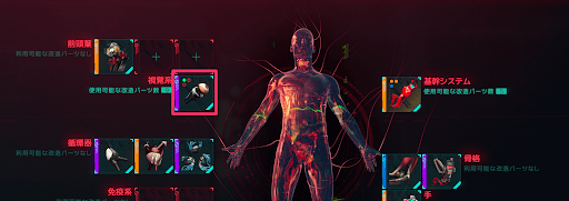 サイバーウェア_視覚