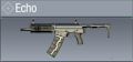 Echo