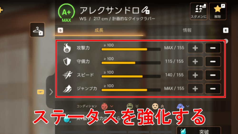 選手を育成する