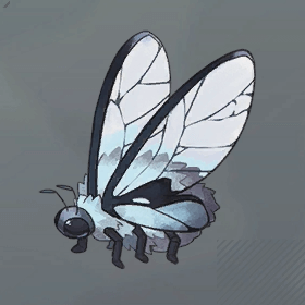 コットンバグズ