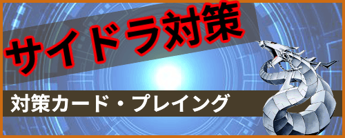 サイバードラゴン対策