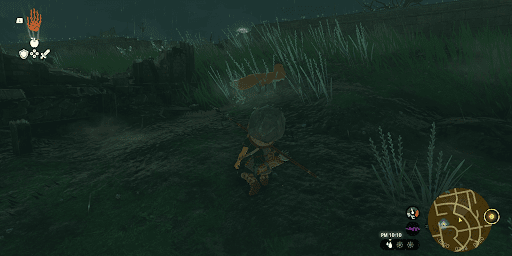 動物や虫に近づく時はしゃがむ