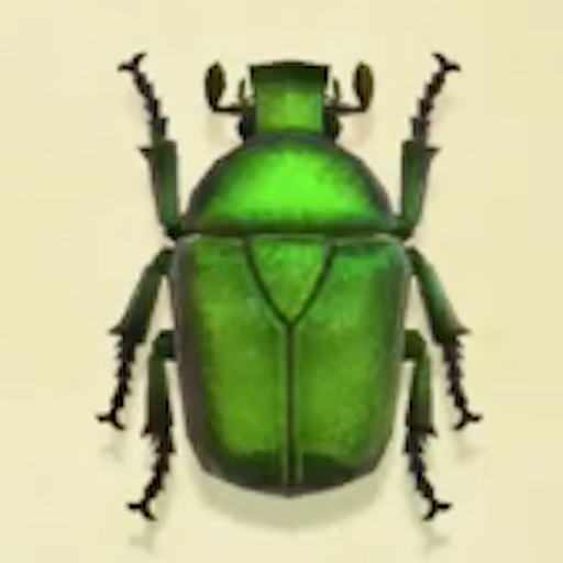 カナブンの値段と捕まえるコツ