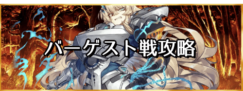fgo-バーゲスト戦