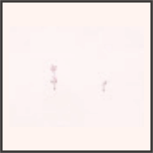 愛の言葉（夢）