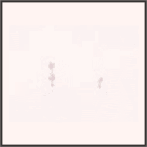 愛の言葉（夢）