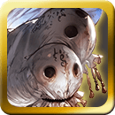 グラブル_アーカーシャHL