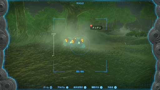 青チュチュをウツシエで撮影する