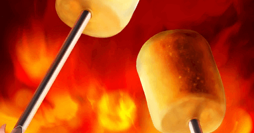 fgo-ささやかな愉しみを、君と