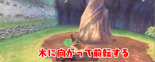 ゼルダSWS_前転アタックで木にぶつかろう