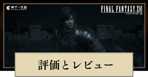 評価とレビュー