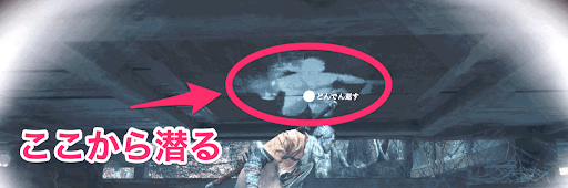 水生の神主の出現場所