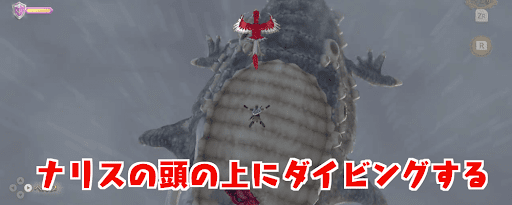 ゼルダSWS_頭上に着陸