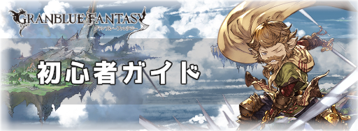 初心者ガイド