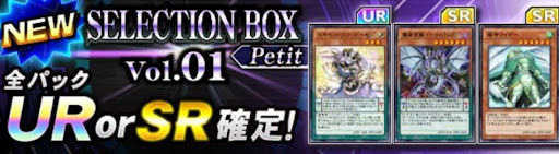 セレクションボックスプチ1