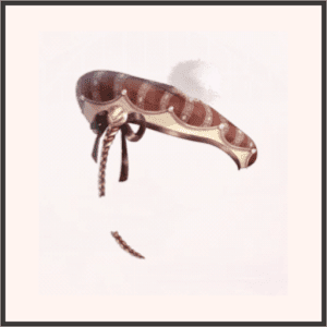 アンティークハット