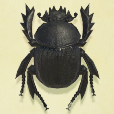 フンコロガシの値段と捕まえるコツ