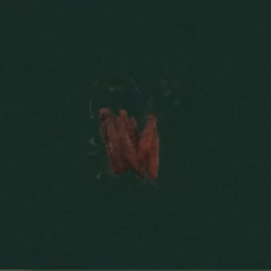 異星のジャーキー