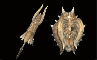 ゼミラブロスアームズ改