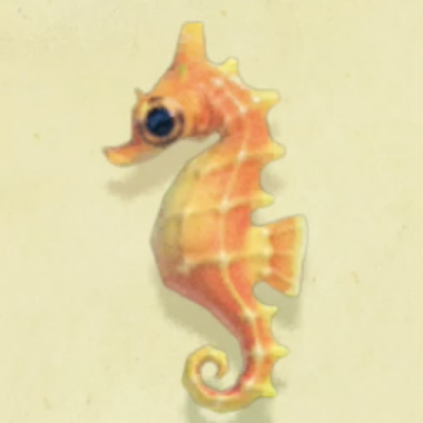 タツノオトシゴの値段と捕まえるコツ