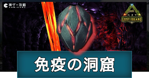 免疫の洞窟（ロストアイランド）
