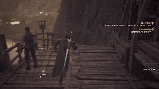 湿地に移動する