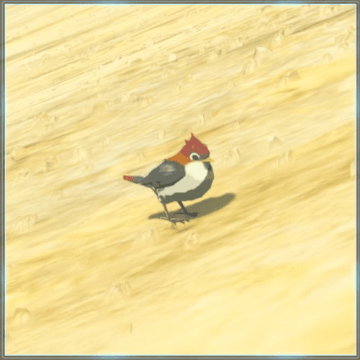 スナホリスズメ