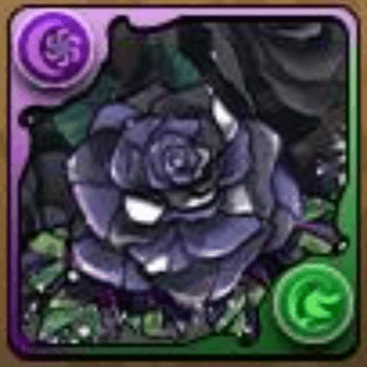 黒薔薇の邪影華