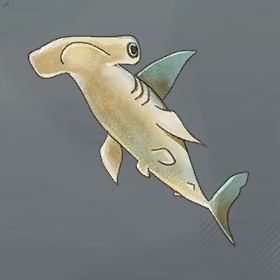 メイスフィッシュ