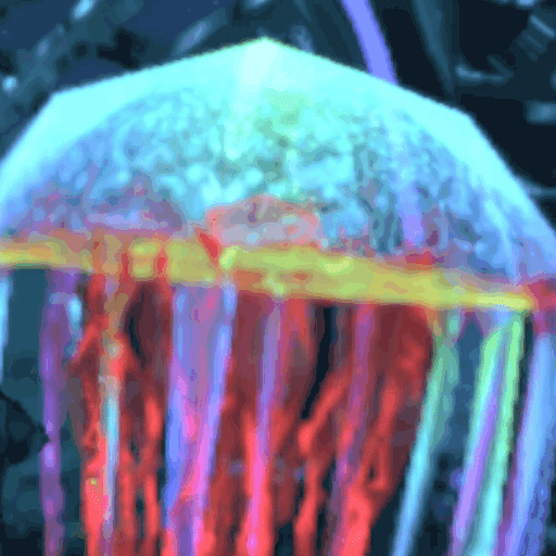 ハコクラゲ_アイコン