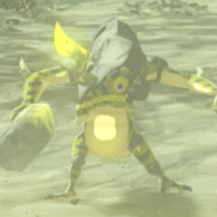 シビレリザルフォス