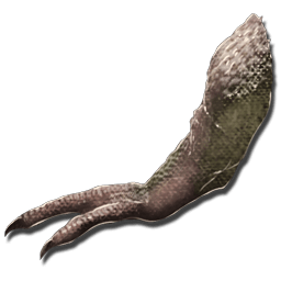 ティラノサウルスの腕