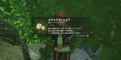 大マックストリュフ