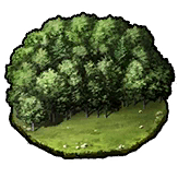 愚者の分かれ道