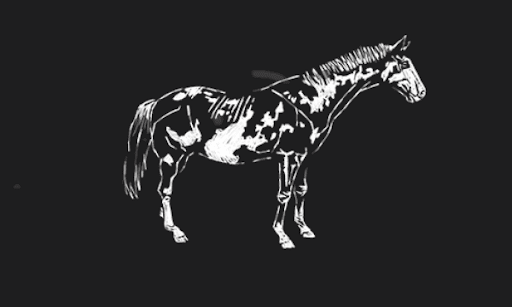 アメリカンペイント