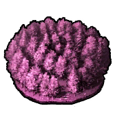 fgo-隠者の逃げ道