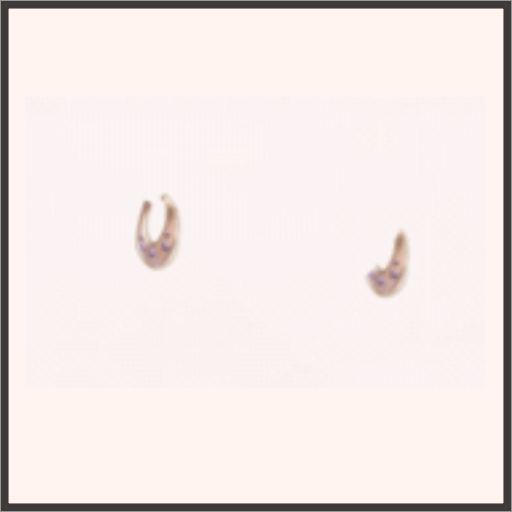 略奪のイヤリング