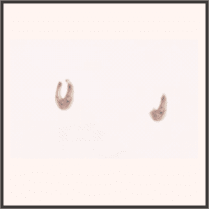 略奪のイヤリング