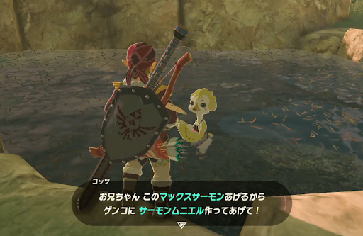ゼルダBotW_コッツに話しかける