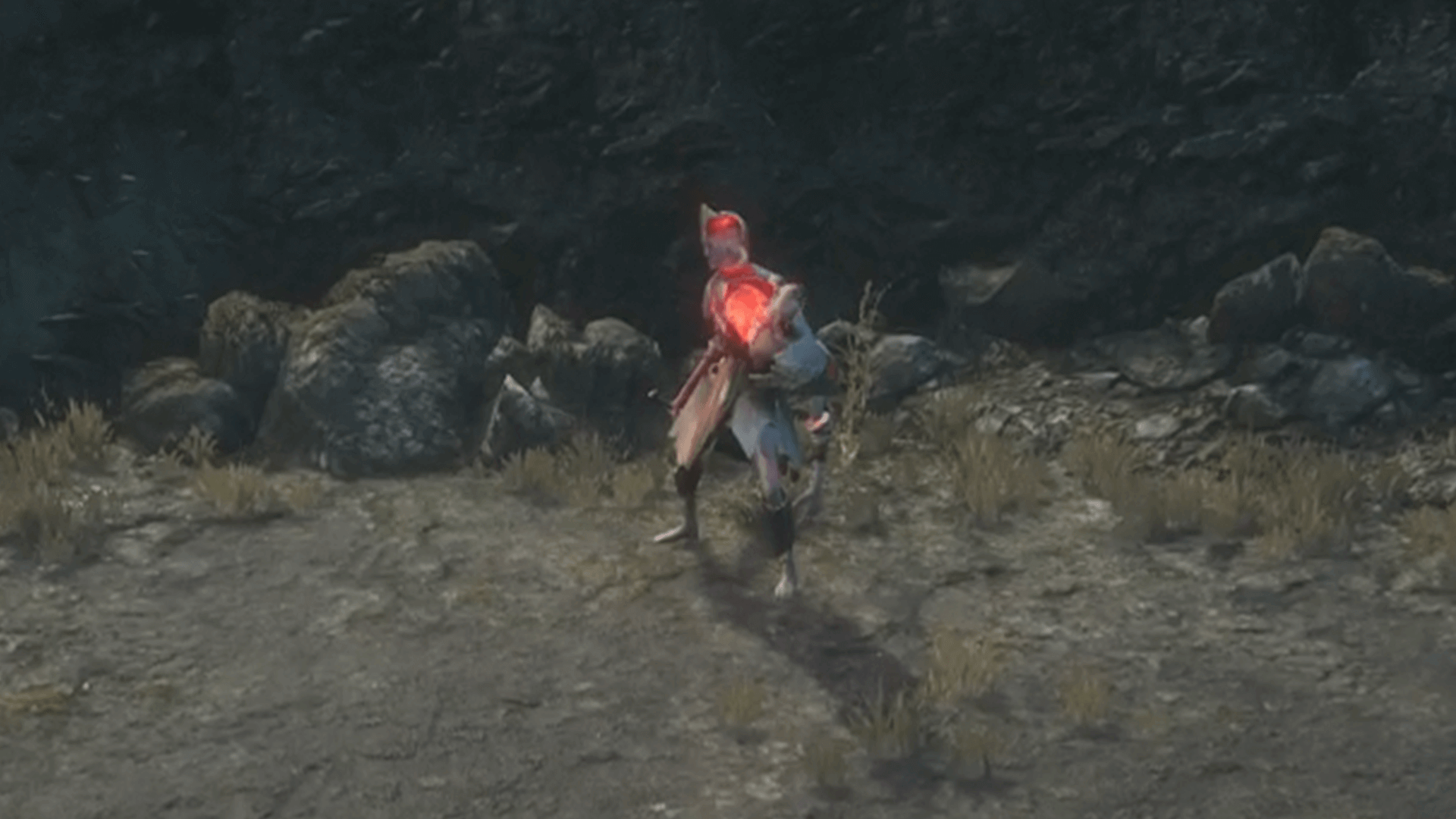 義勇軍カーター