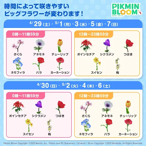 ビッグフラワー