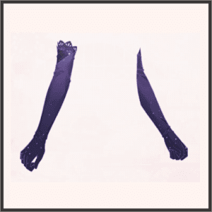 星の海グローブ