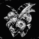 エバーグリーンハックルベリー