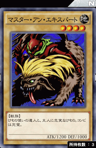 マスター・アン・エキスパート