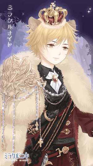 ミラクルナイト1