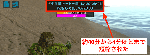 ARK_熊のぬいぐるみ