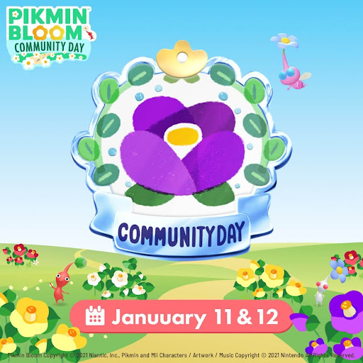 コミュニティ・デイ