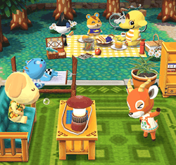 キャンプ場に沢山のどうぶつ