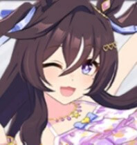 水着ヴィブロス