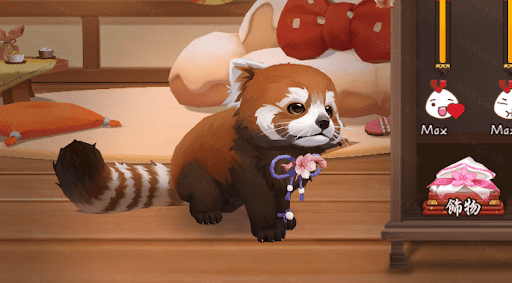 レッサーパンダ